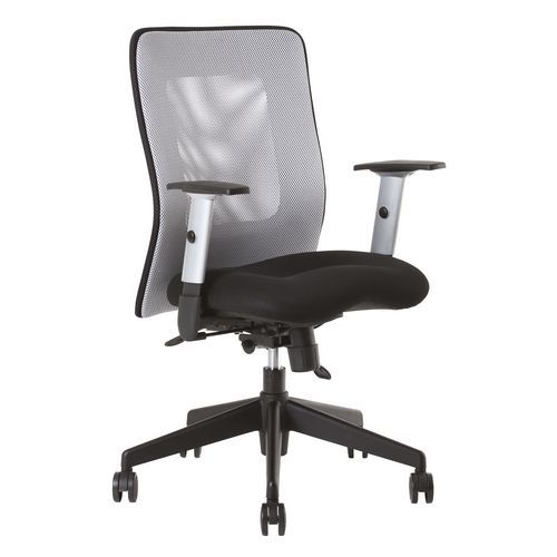 Kancelářská židle Calypso, šedá