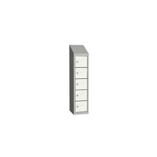 Svařovaná skříň na osobní věci Olaf, 5 boxů, cylindrický zámek, šedá/bílá